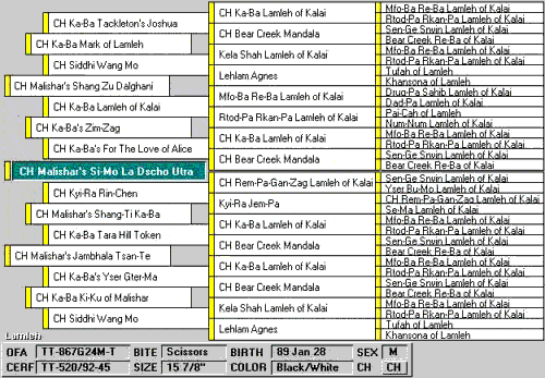 Pedigree